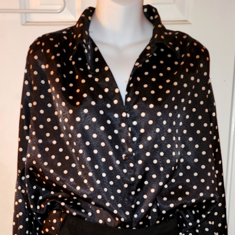 Oscar de la Renta Expressions Blouse